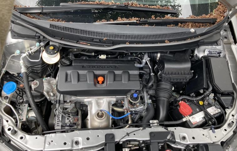 fuel filter replacement fuel filter replacement