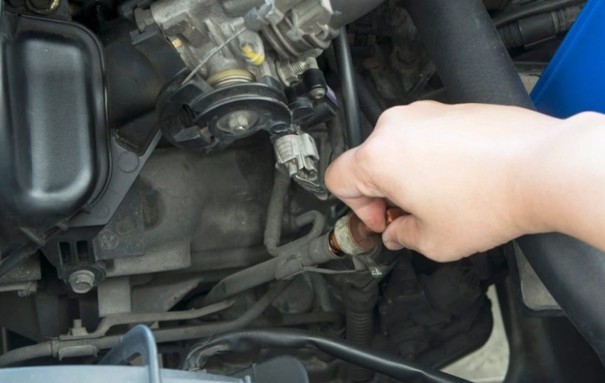 transmission fluid check